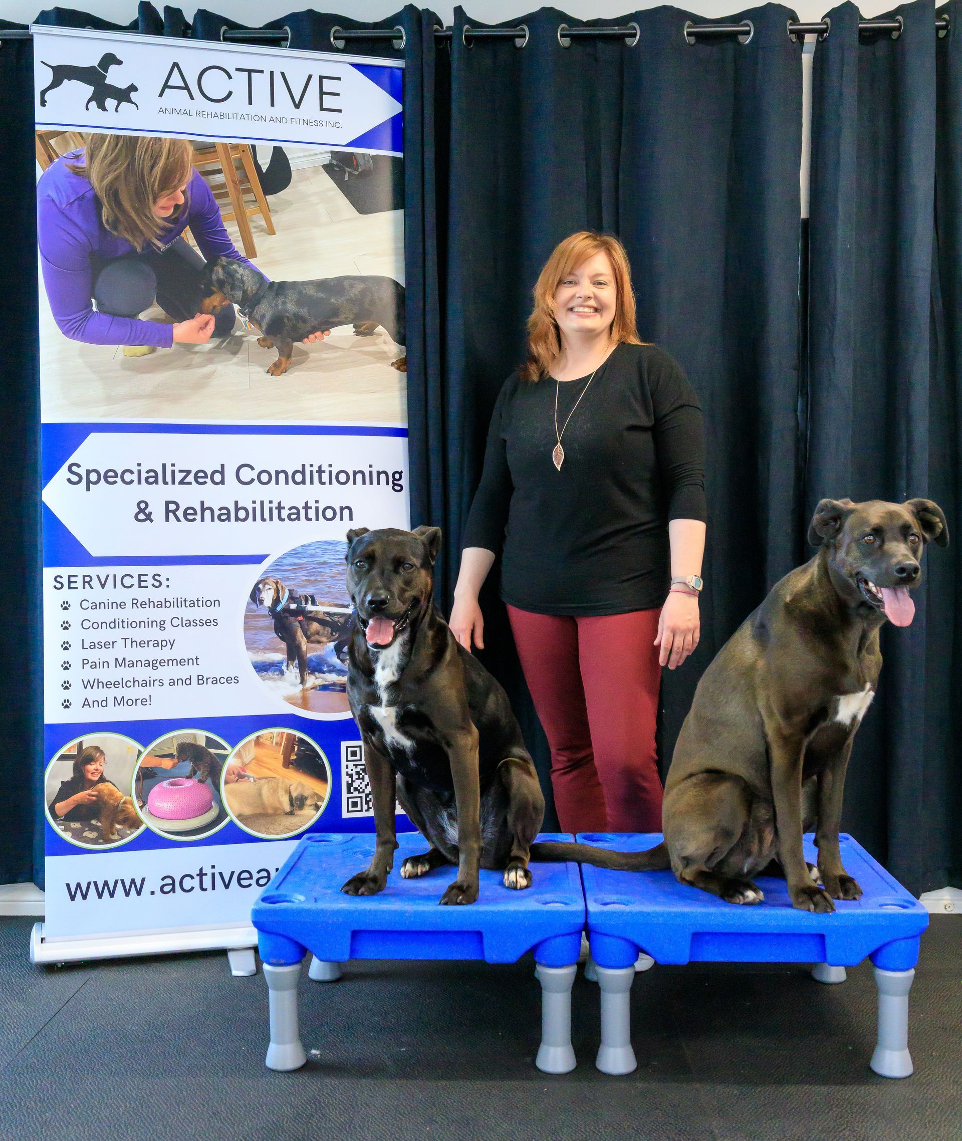 Canine Rehabilitation & K9 Conditioning | Active Animal